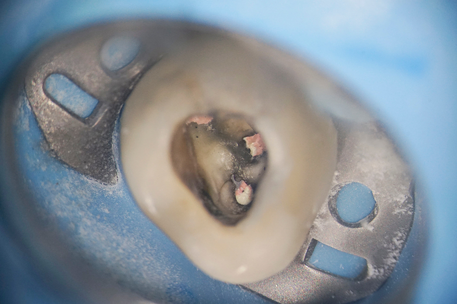 西馬込（大田区）の歯医者、なおい歯科クリニックのドクター紹介